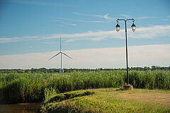 lampadaire et éolienne en premier plan avec de nombreuses autres éoliennes en fond de paysage