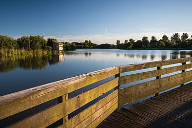 depuis en terrase en bois qui surplombe la Loire, vue sur un abri observatoire des oiseaux en face. L'atmosphere est paisible et donne bien la sensation d'être au coeur d'une nature préservée.