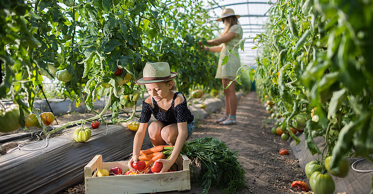 Relevez le défi Foyers à Alimentation Positive