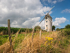 vue d'un moulin au coeur des champs - Agrandir l'image, .JPG 883,0 Ko (fenêtre modale)