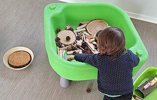 Agrandir l'image, .JPG 171 Ko (fenêtre modale)