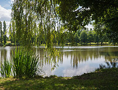 étendue d'eau avec canards et bordées d'arbres - Agrandir l'image, .JPG 1,5 Mo (fenêtre modale)